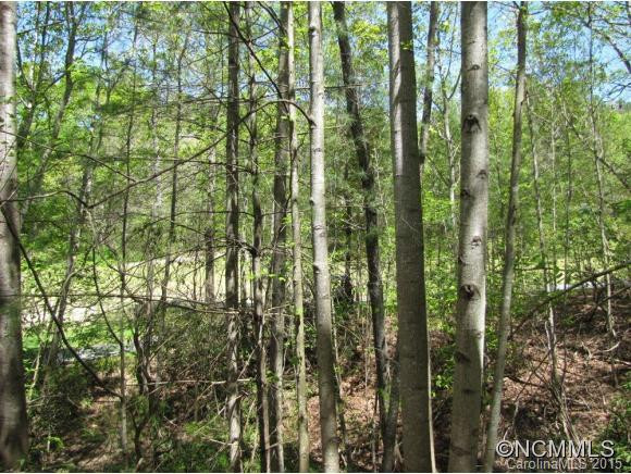 142 Cove Loop - Photo 13