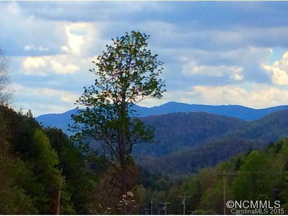 1368 Lickskillet Rd - Photo 2