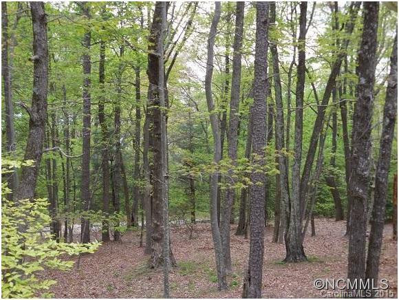142 Little Falls Dr. - Photo 2