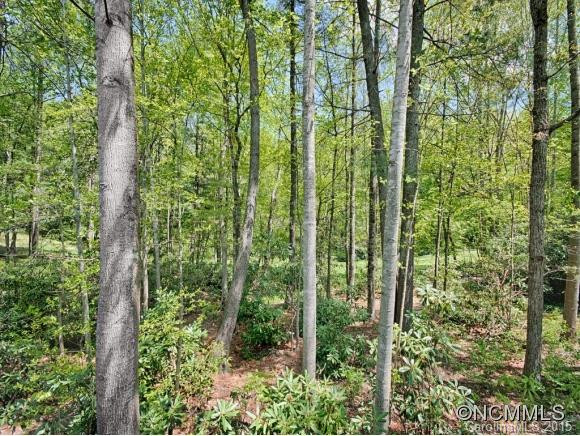 44 TREETOP DRIVE - Photo 19