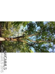 115 Meadowbrook Circle - Photo 11