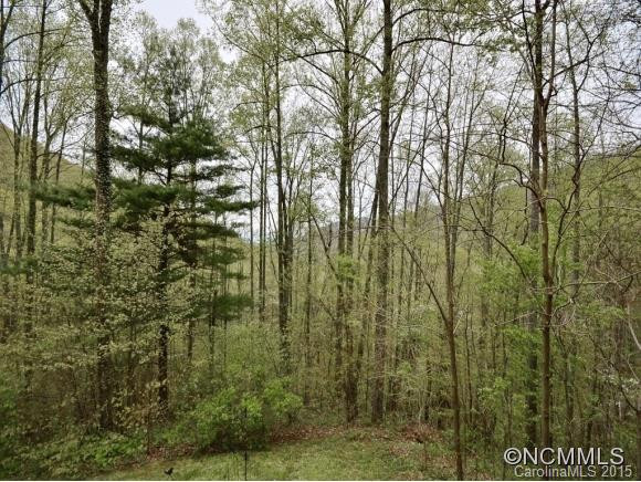 466 Lynn Cove Road - Photo 3