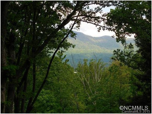 470 Hogback Mountain Rd. - Photo 3