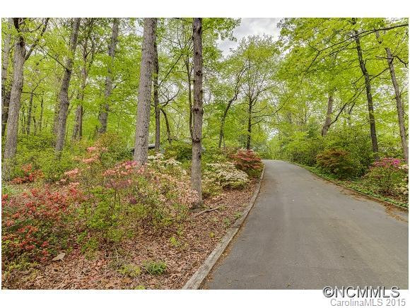 595 Dogwood Trail - Photo 5