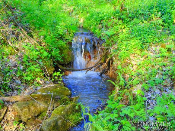 Private Wilderness Drive - Photo 11