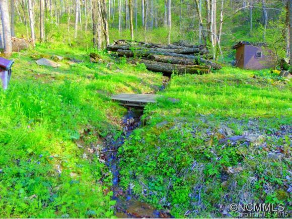 Private Wilderness Drive - Photo 12