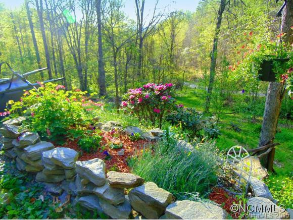 Private Wilderness Drive - Photo 13