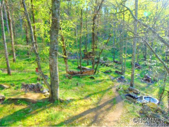 Private Wilderness Drive - Photo 14