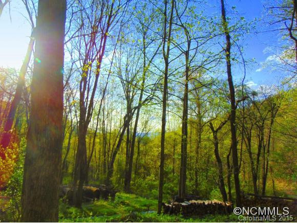 Private Wilderness Drive - Photo 15