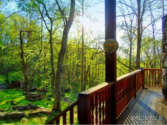 Private Wilderness Drive - Photo 3