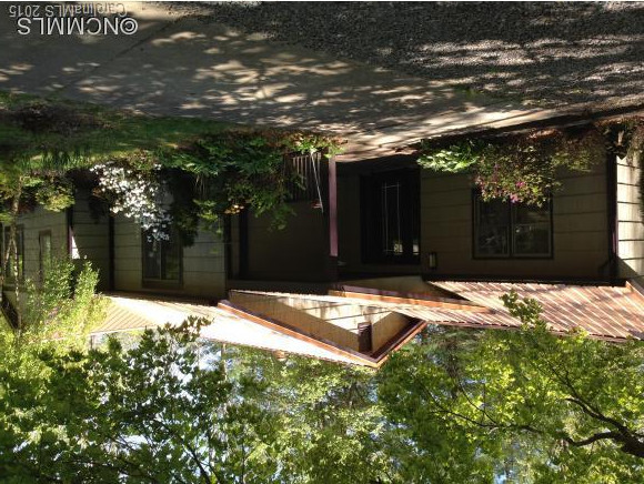 205 View Street - Photo 2