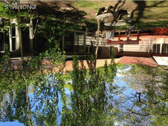 205 View Street - Photo 4