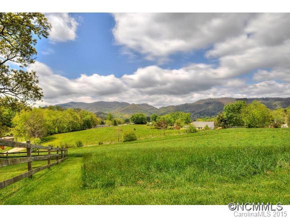 233 Pigeon Valley Lane - Photo 23