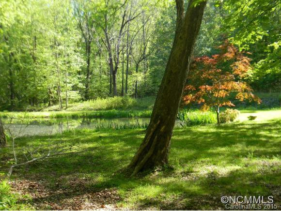 218 Winding Creek Lane #9 - Photo 6