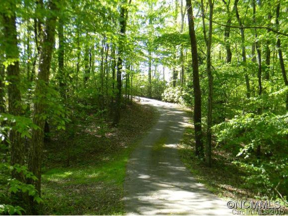 218 Winding Creek Lane #9 - Photo 8