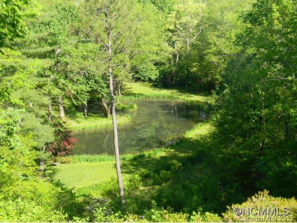 218 Winding Creek Lane #9 - Photo 9