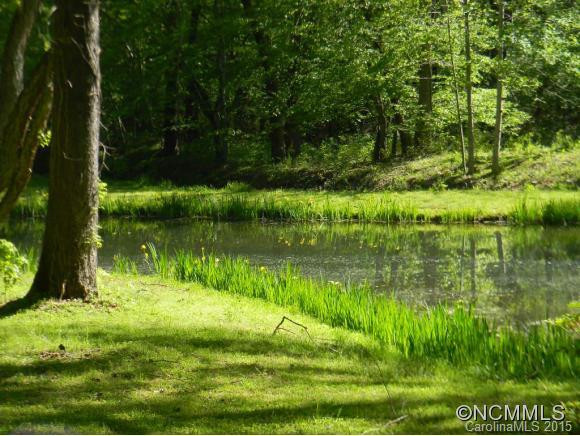 218 Winding Creek Lane #9 - Photo 10