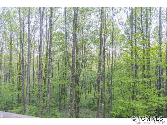 556 Roaring Creek Lane - Photo 22