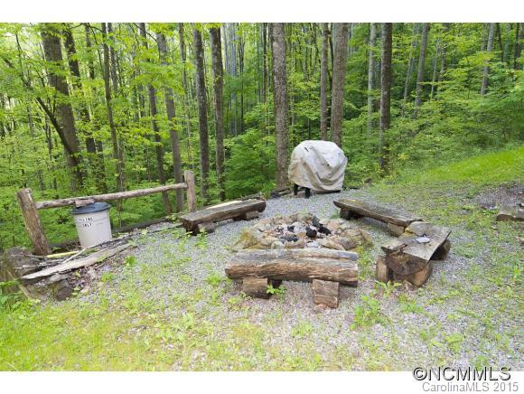 556 Roaring Creek Lane - Photo 23