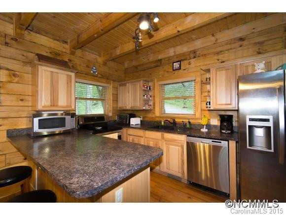 556 Roaring Creek Lane - Photo 5
