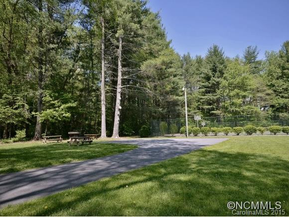 225 HAYWOOD KNOLLS DRIVE - Photo 15