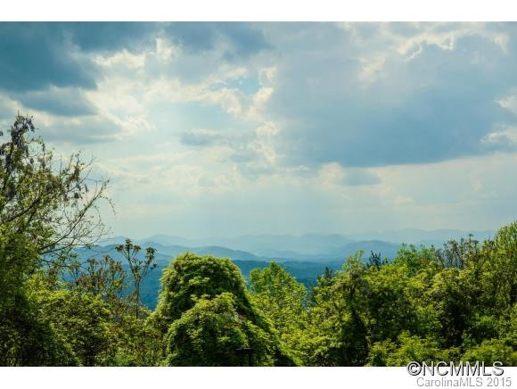 647 Town Mountain Rd. #310 - Photo 4