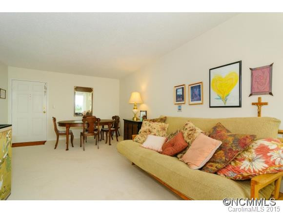 647 Town Mountain Rd. #310 - Photo 8