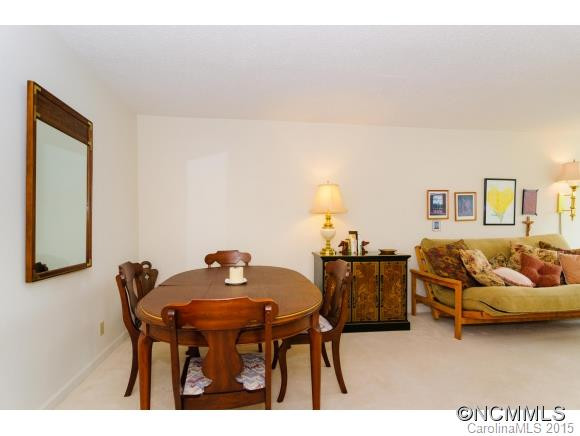 647 Town Mountain Rd. #310 - Photo 9