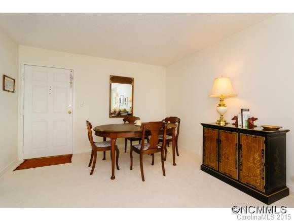 647 Town Mountain Rd. #310 - Photo 10