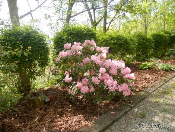 900 Mountain Cove Road - Photo 3