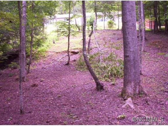 802 Tunnel Mountain Road - Photo 3