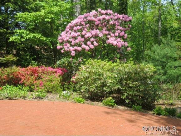 315 Chagee Lane - Photo 20
