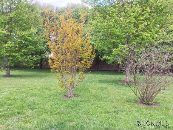 1007 Thorncrest Drive - Photo 3