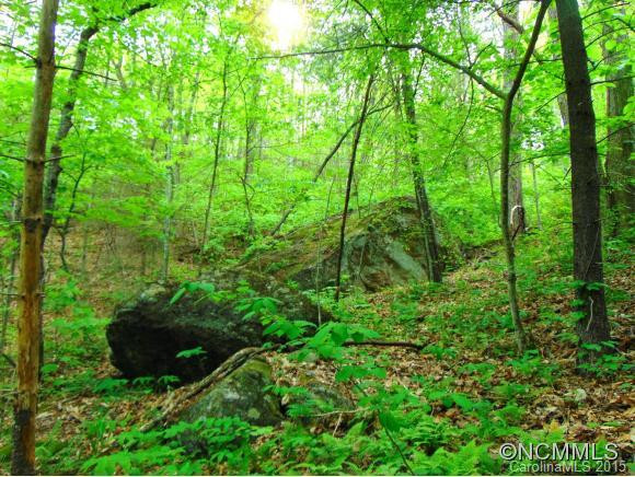 6 Green Ridge Falls Rd - Photo 20