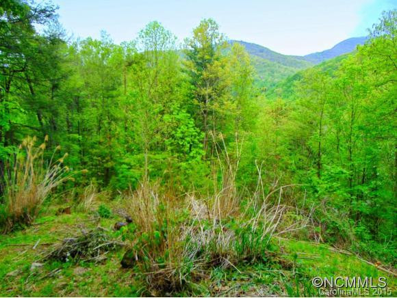 6 Green Ridge Falls Rd - Photo 21