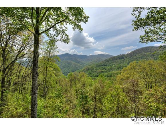 446 Abbeys Cove Road - Photo 22