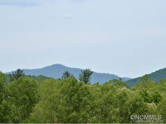 346 SCARLET TANAGER CT - Photo 2