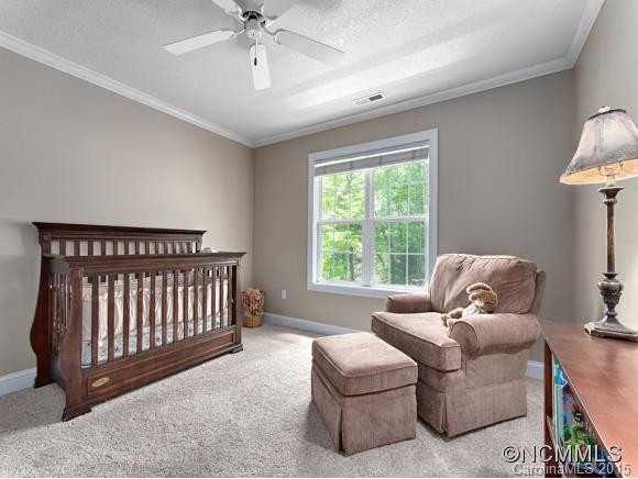 211 Blake Mountain Circle - Photo 12