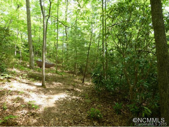 33 Jazaka Ridge Lane - Photo 16