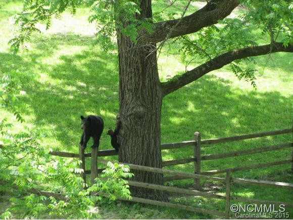 48 Wolfe Cove Road - Photo 8