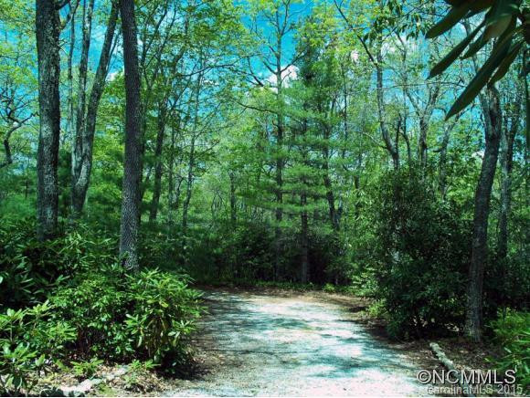 2966 Slick Fisher Road - Photo 3