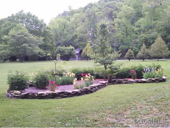 7081 Bearwallow Mountain Road - Photo 6