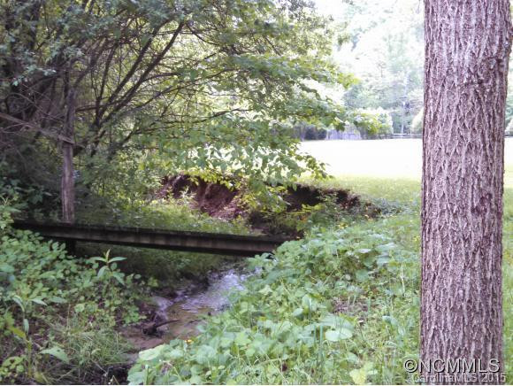 7081 Bearwallow Mountain Road - Photo 9
