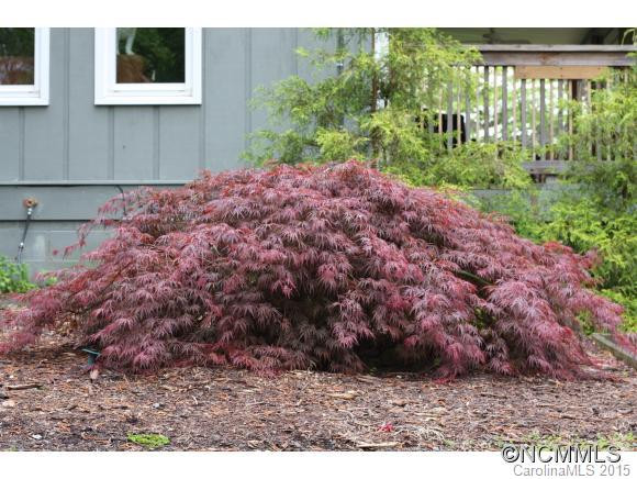 15 Conifer Court - Photo 21