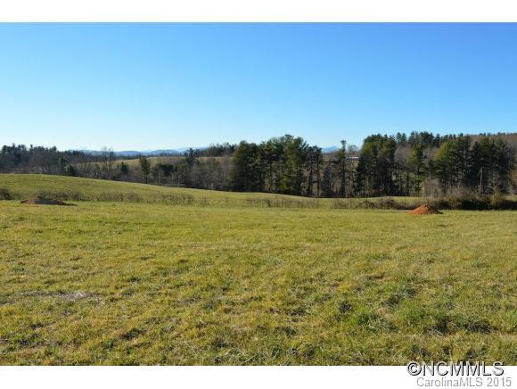 166 Albert Drive - Photo 4