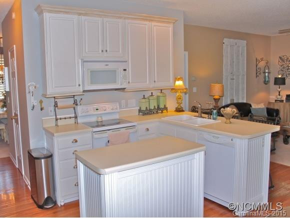 211 RIVER BIRCH DRIVE - Photo 7