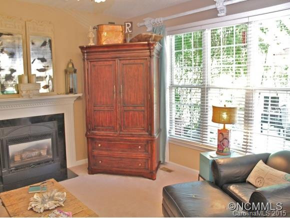 211 RIVER BIRCH DRIVE - Photo 8