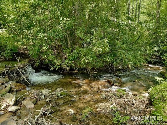 141 DANDELION TRAIL - Photo 2