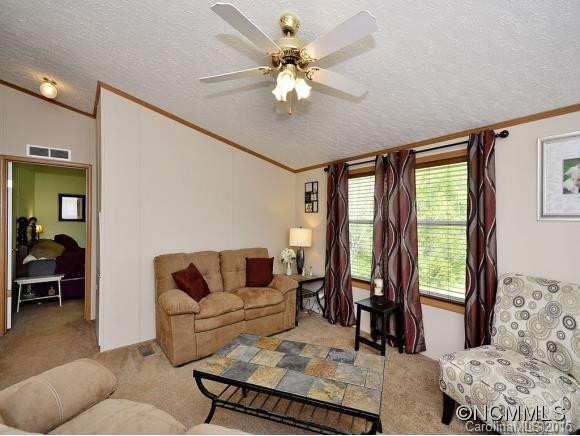 141 DANDELION TRAIL - Photo 5