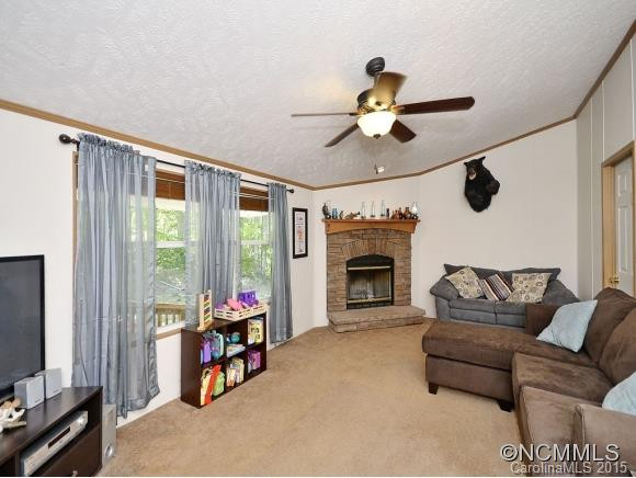 141 DANDELION TRAIL - Photo 9